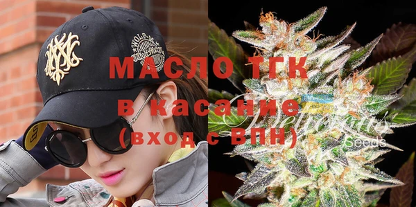 индика Протвино
