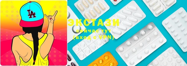 индика Протвино