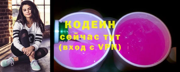 индика Протвино