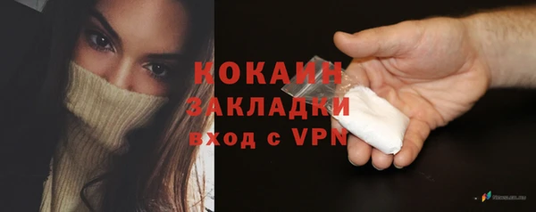 индика Протвино