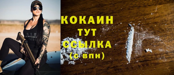 индика Протвино