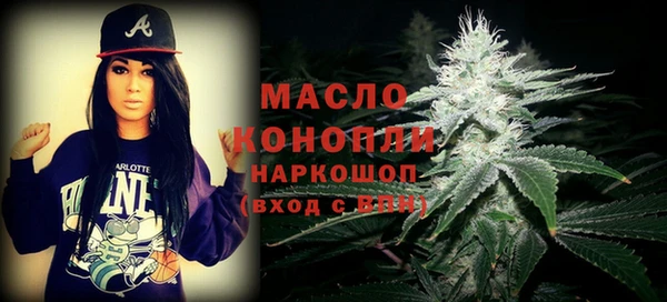индика Протвино