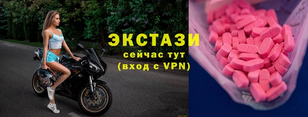 индика Протвино