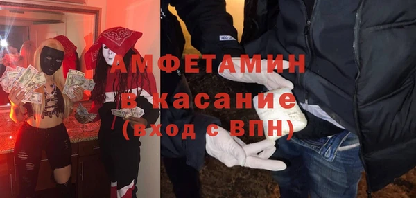 индика Протвино