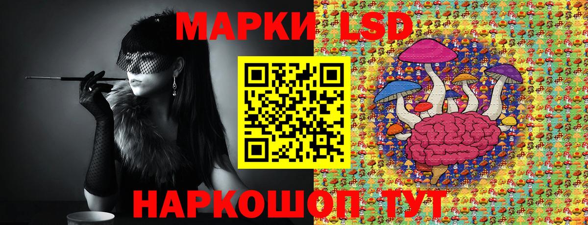 Наркотические марки 1,5мг  Наркотические марки 1,5мг  Наркотические марки  Вход с VPN  Буйнакск 