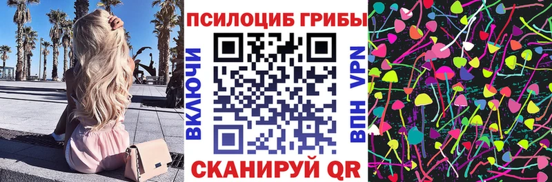 Псилоцибиновые грибы Cubensis  купить   Буйнакск 